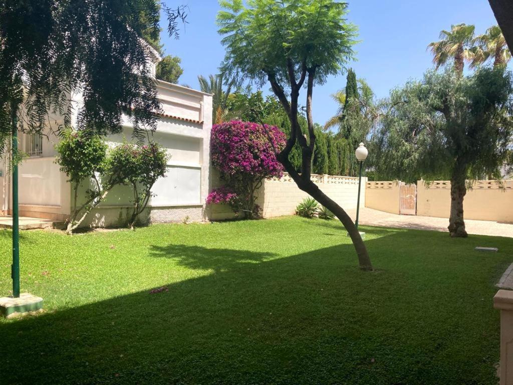 Apartamento Con Piscina Y Parking El Campello Buitenkant foto